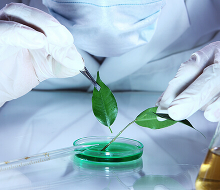 M.SC. BIOTECHNOLOGY
