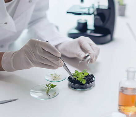 B.SC. BIOTECHNOLOGY