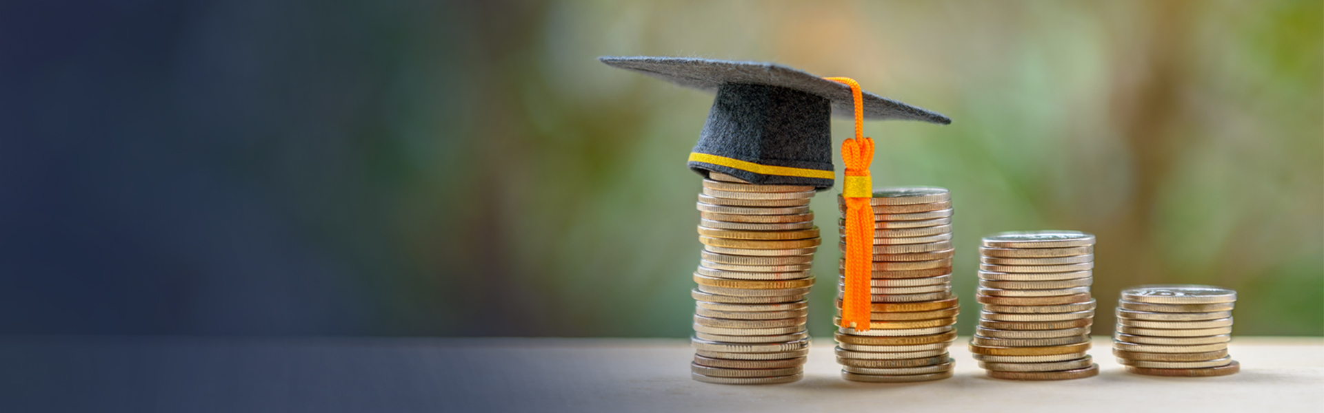 Fees Structure | Sankalchand Patel University (SPU)